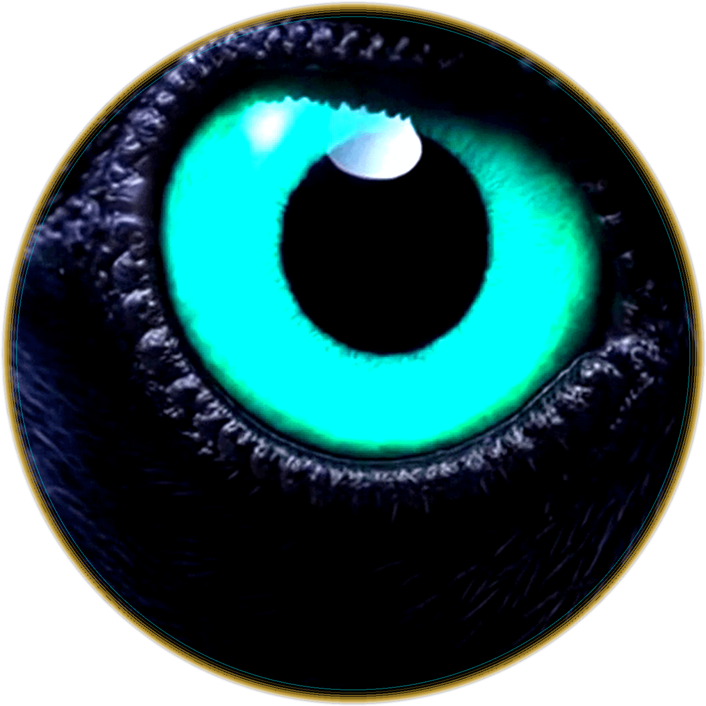 Crow's Eye
